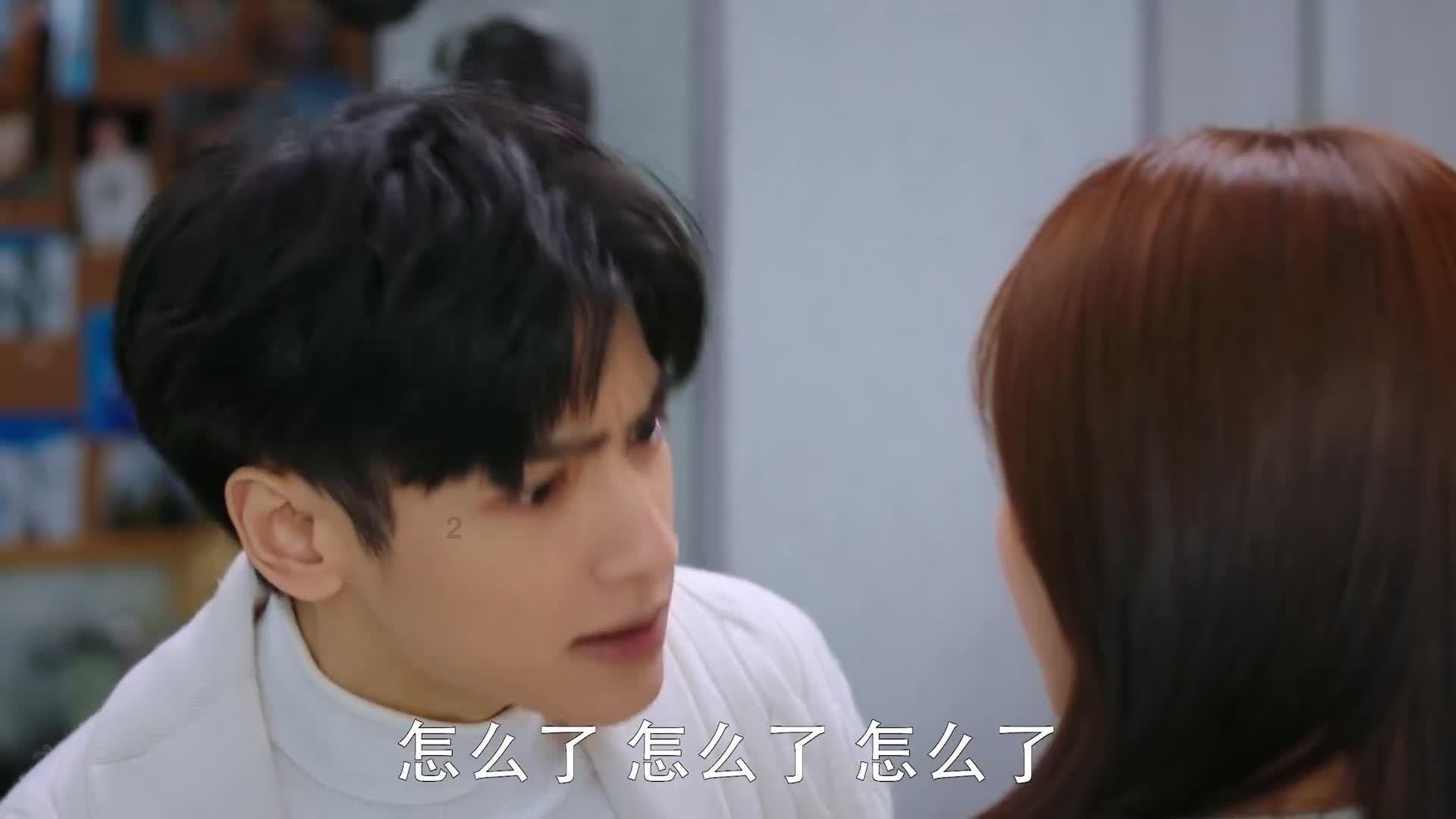 羊肚菌上市冬日采收忙