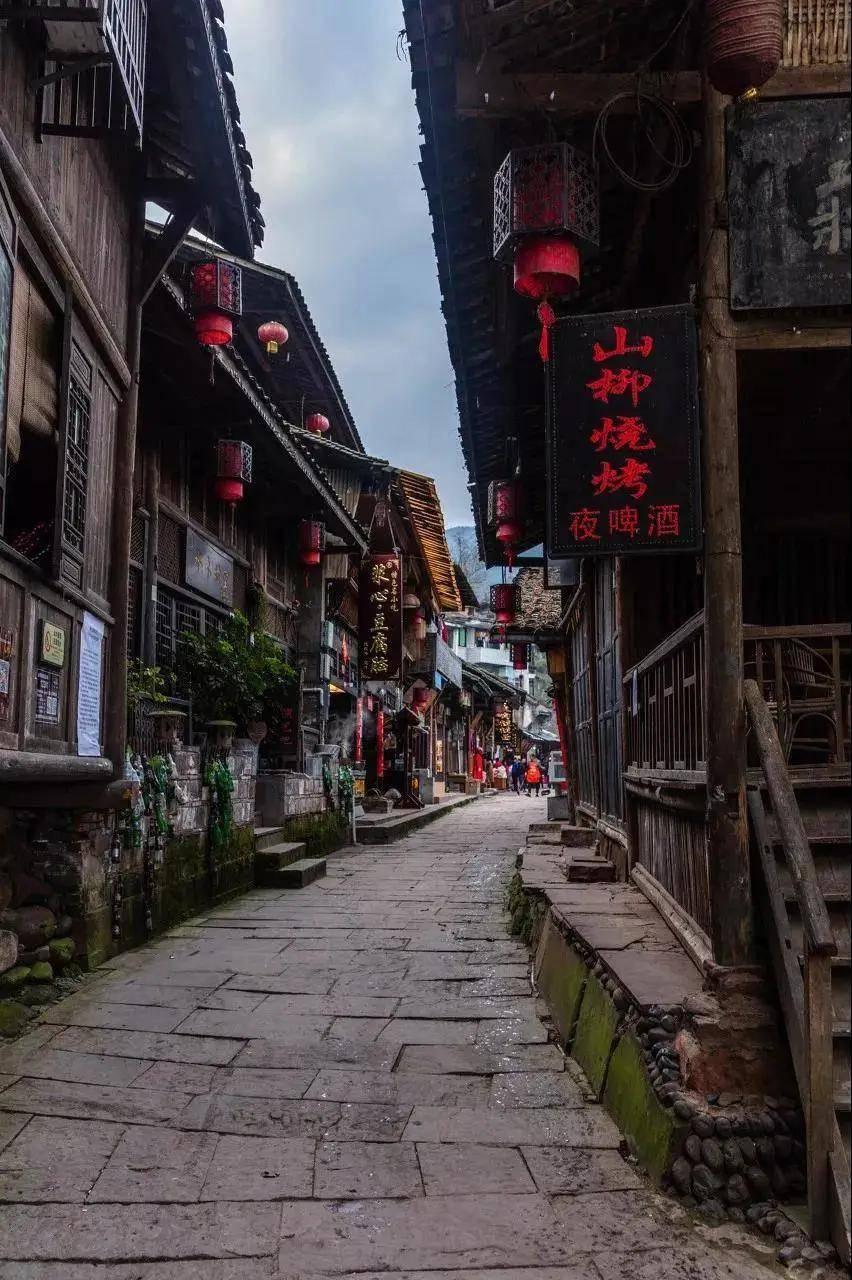 春雨直播app